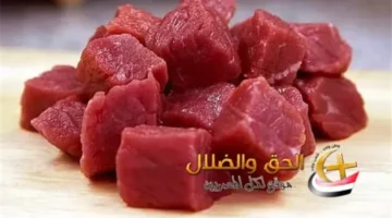 نفوق الماشية المزيف.. وزارة الزراعة تصدر توضيحًا رسميًا وتكذب الشائعات المتداولة على مواقع التواصل الاجتماعي